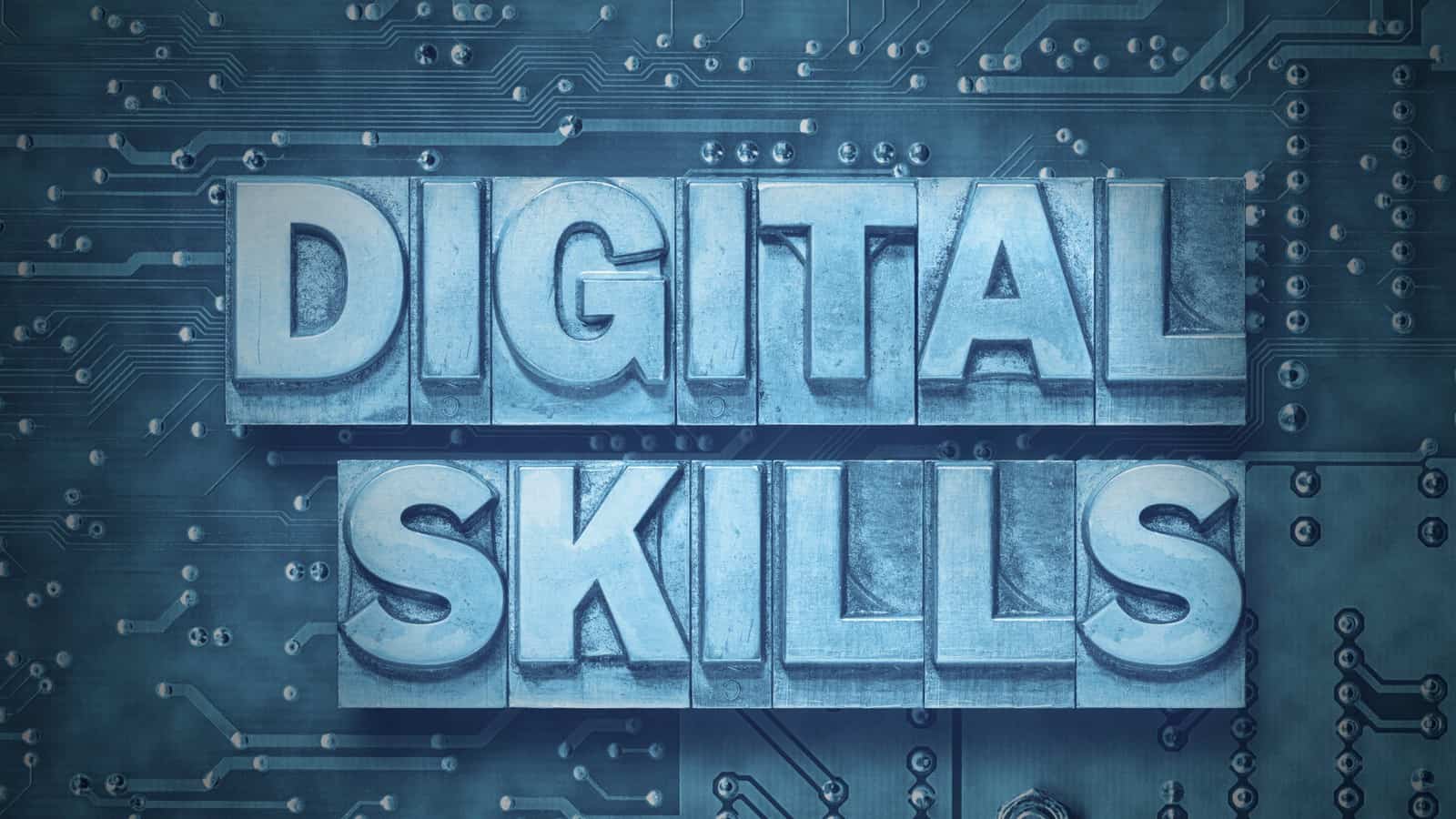 Important Digital Skills Anyone Should Have In Tigernix Business